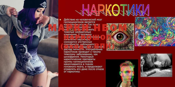 мдпв Зерноград